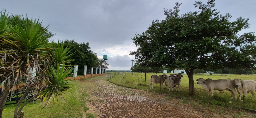 5 Bedroom Property for Sale in Swartruggens North West